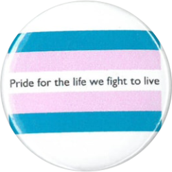 a pin with the transgender pride flag and black text running through the central white stripe reading 'pride for the life we fight to live'